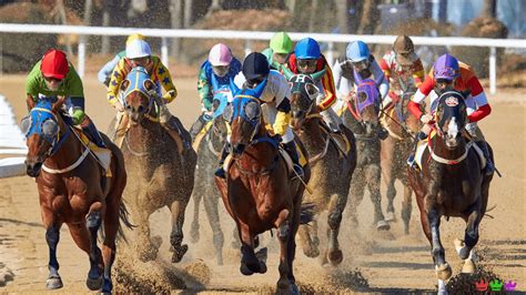 steepledowns|Steepledowns: A Thrilling Virtual Horse Racing Experience.